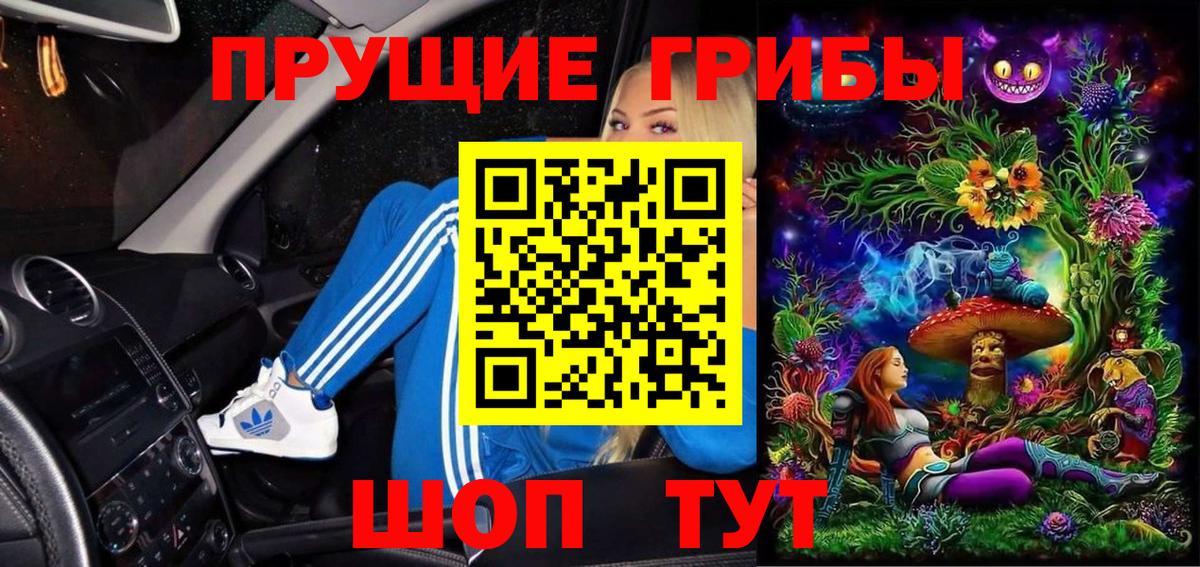 Галлюциногенные грибы Cubensis  Вход с VPN  Туймазы 